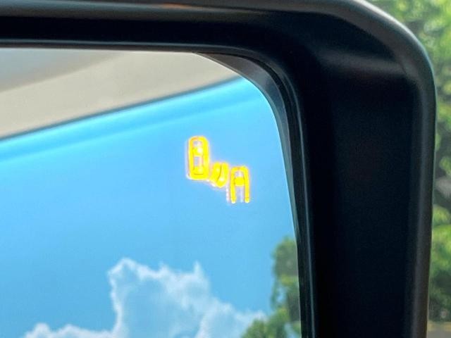 26946641_carP_l_13.jpg