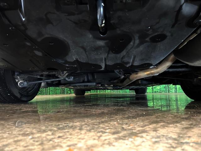 24828329_carP_l_16.jpg