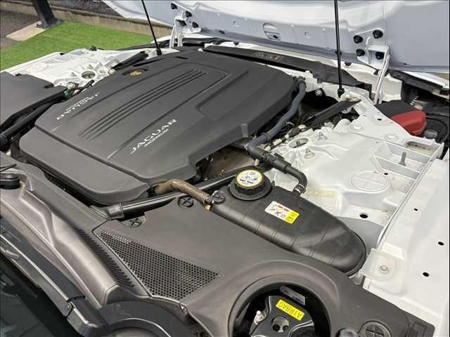 26372096_carP_l_8.jpg