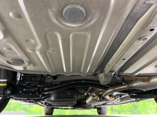 26446281_carP_l_18.jpg