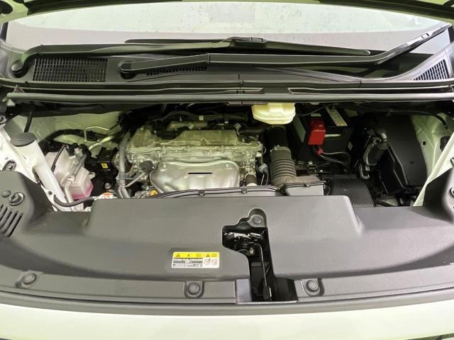 26534115_carP_l_16.jpg