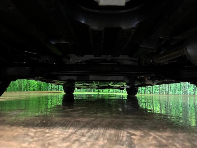 24828332_carP_l_11.jpg