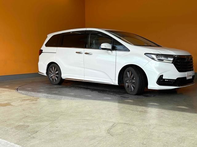 0702758A30261024W00309.jpg