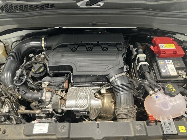 25572448_carP_l_17.jpg