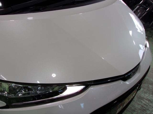 0206447A30260805W00111.jpg
