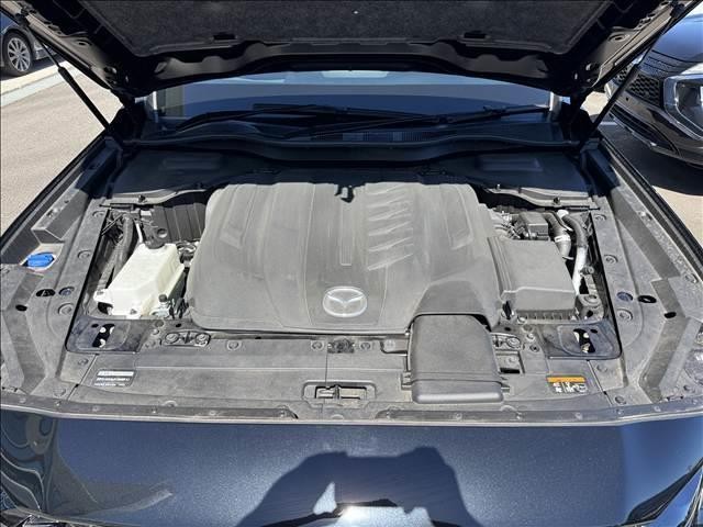 25688646_carP_l_8.jpg