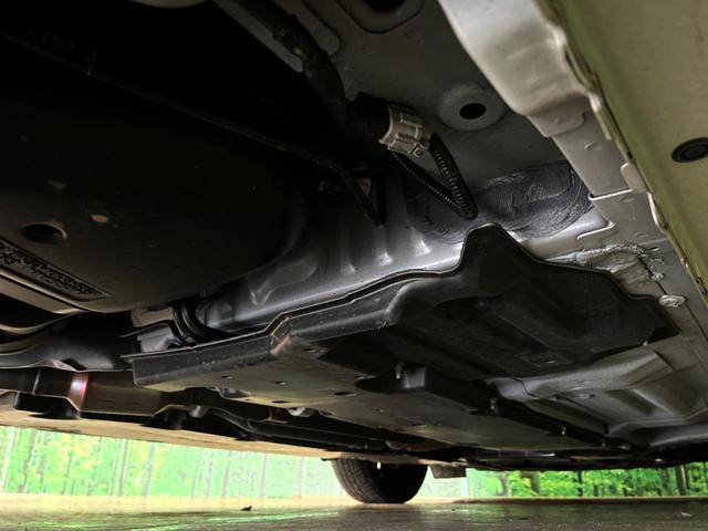 24828334_carP_l_20.jpg
