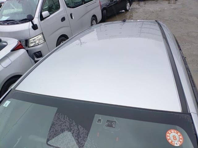 24535714_carP_l_14.jpg