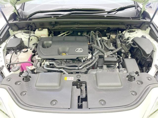 26491412_carP_l_12.jpg
