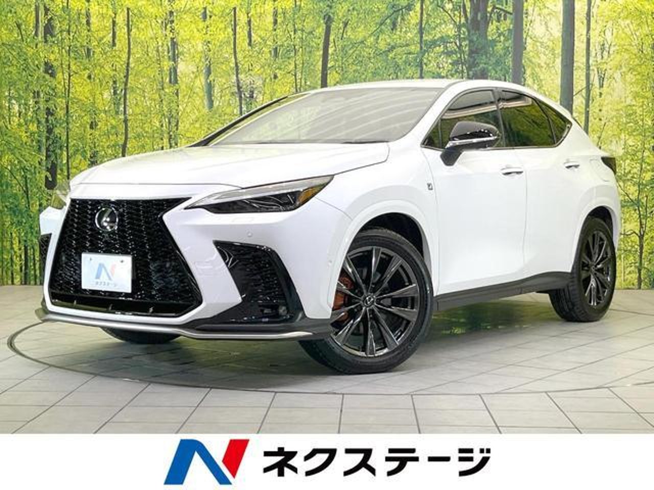2023 Lexus Nx, photo 1 of 1