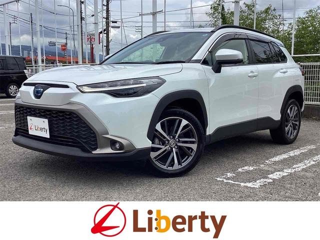 70013009343026062100100.jpg