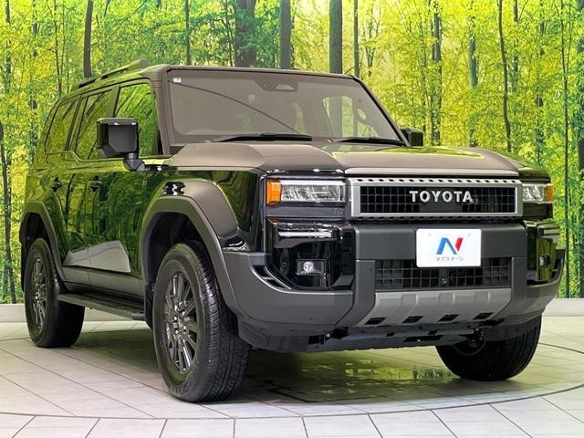 26491430_carP_l_12.jpg
