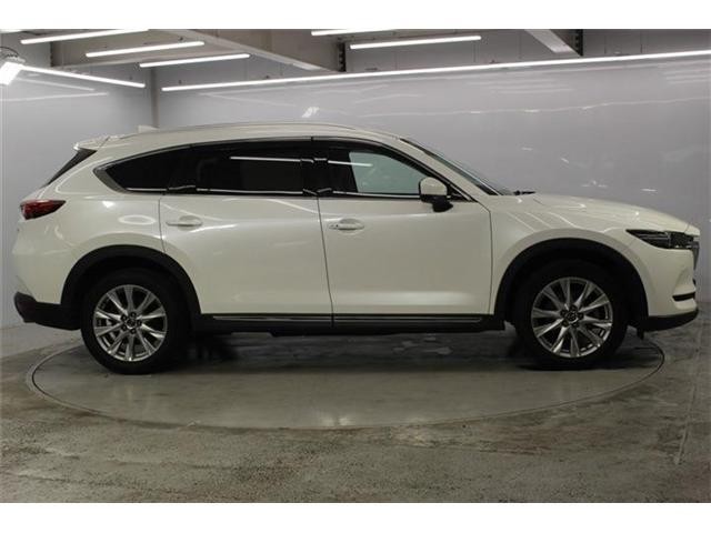 25277660_carP_l_4.jpg