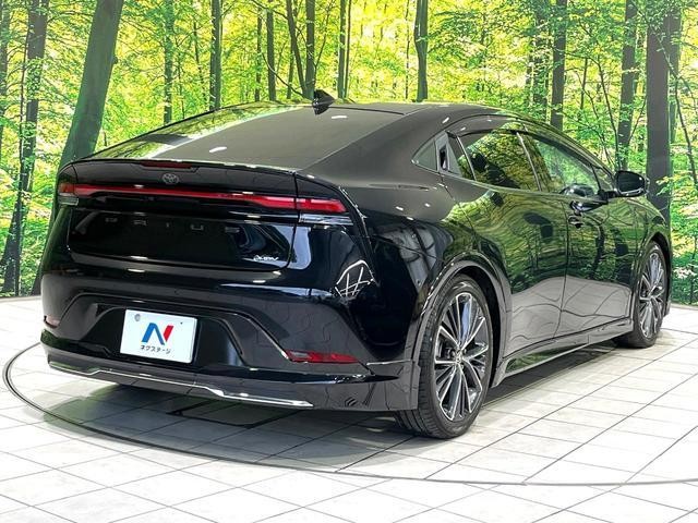 26491740_carP_l_16.jpg