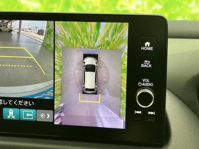 25389698_carP_l_8.jpg