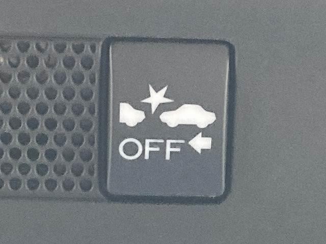 25688667_carP_l_14.jpg