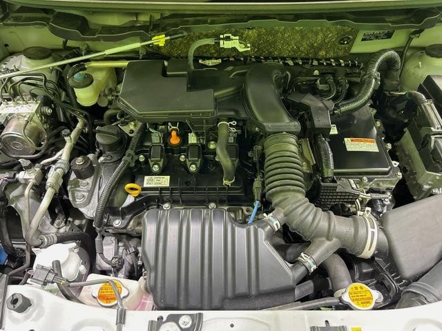 25507262_carP_l_16.jpg