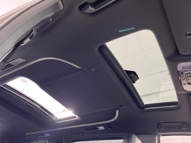 24521193_carP_l_10.jpg