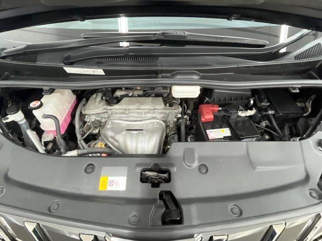 24521193_carP_l_18.jpg