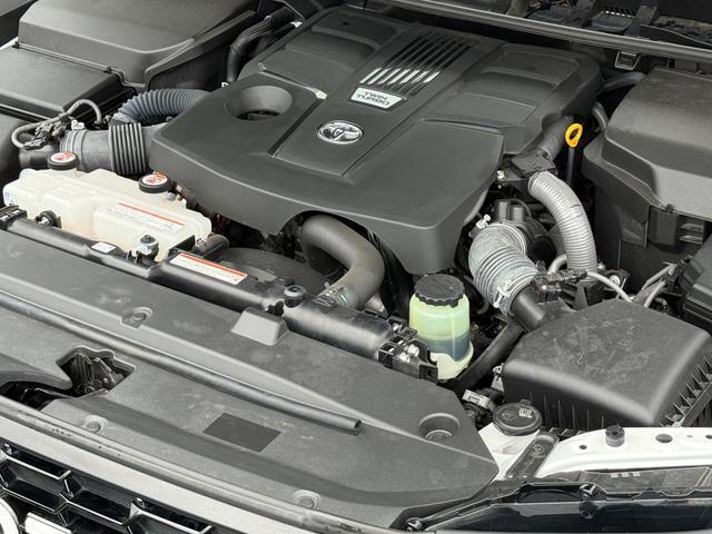 0208956A30260626W00108.jpg