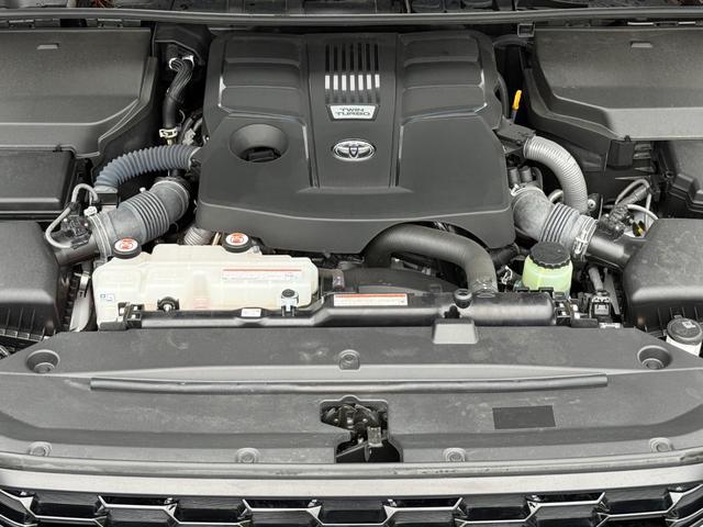 0208956A30260626W00117.jpg