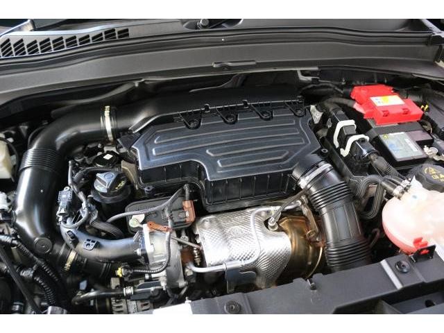 25507427_carP_l_17.jpg