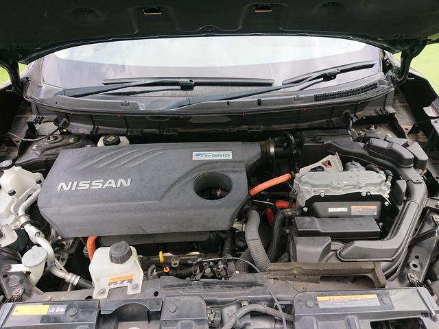 24868070_carP_l_20.jpg