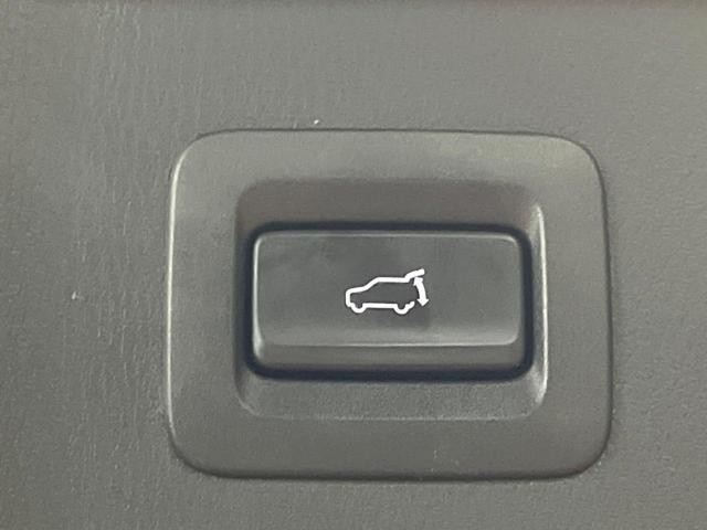 26445921_carP_l_10.jpg