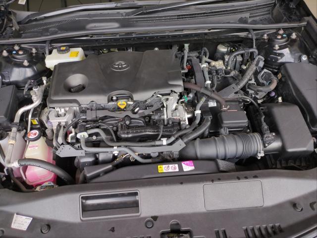 24682379_carP_l_17.jpg