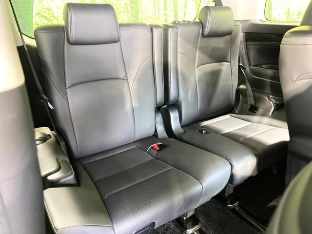 25983251_carP_l_2.jpg