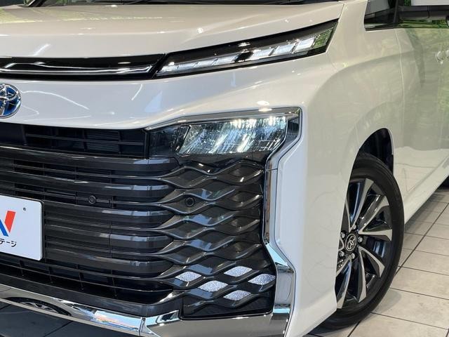 25344444_carP_l_7.jpg
