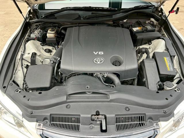 24726606_carP_l_19.jpg