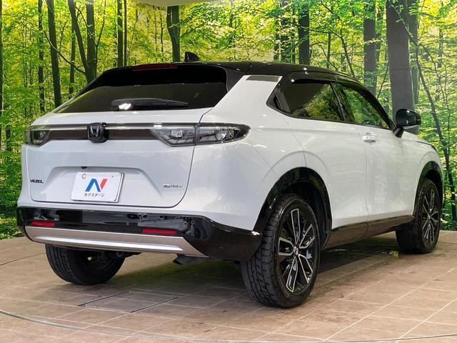 24953666_carP_l_12.jpg