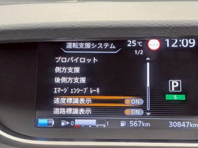 25096273_carP_l_8.jpg