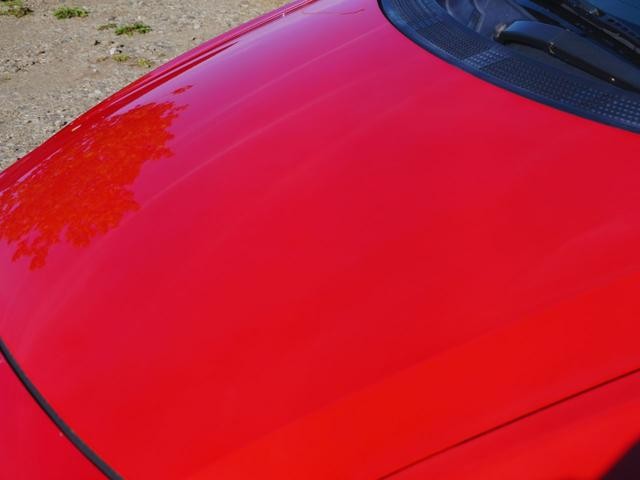 0303912A30260803W00114.jpg