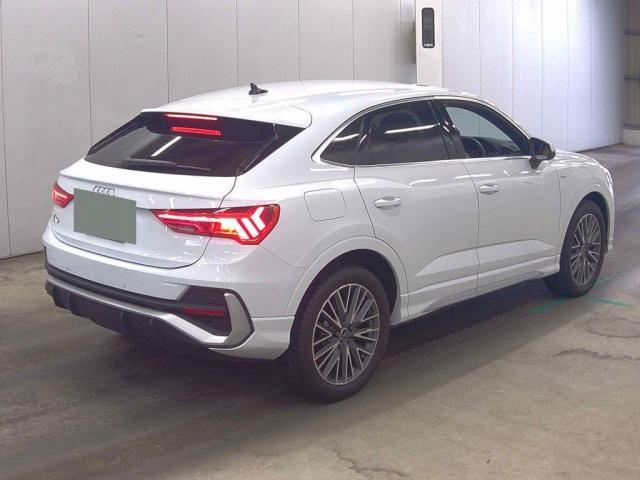 24273982_carP_l_3.jpg