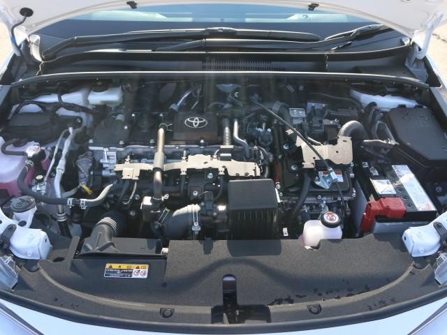 26974011_carP_l_17.jpg