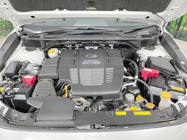 25344559_carP_l_18.jpg