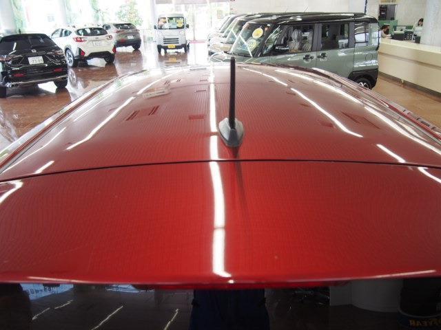 24683951_carP_l_7.jpg