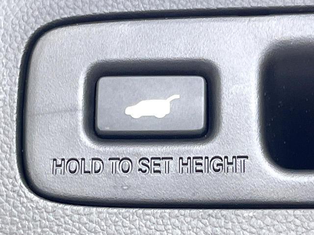 24521437_carP_l_14.jpg