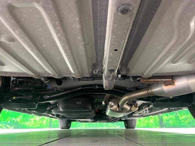 24521438_carP_l_20.jpg