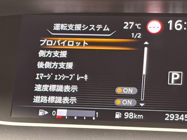 27030934_carP_l_20.jpg