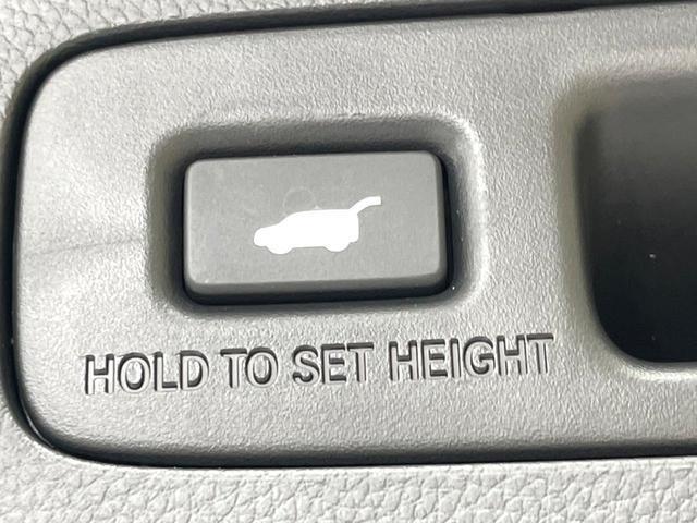 24521440_carP_l_10.jpg