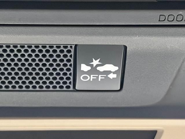 24843568_carP_l_13.jpg