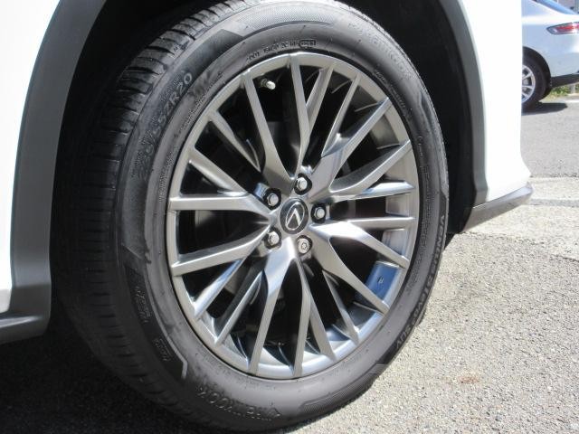 26843819_carP_l_19.jpg