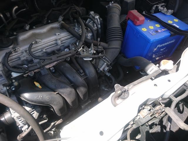 26273611_carP_l_17.jpg