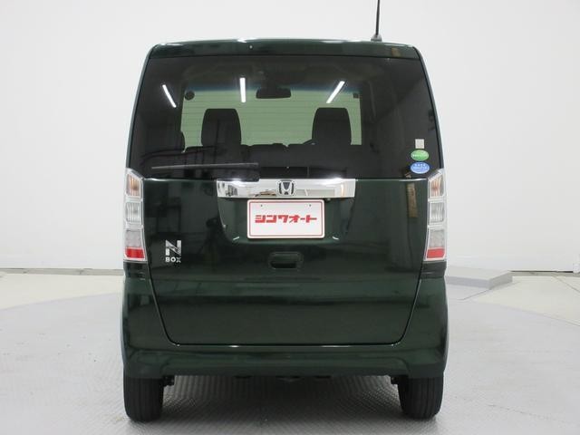 25096423_carP_l_15.jpg