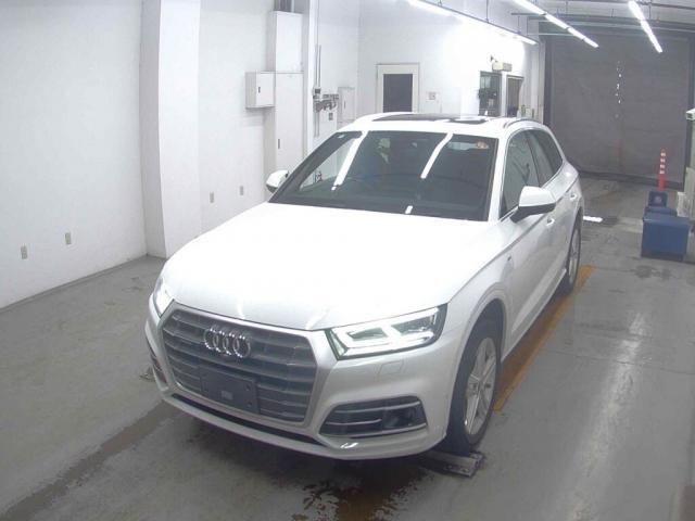 25025554_carP_l_10.jpg