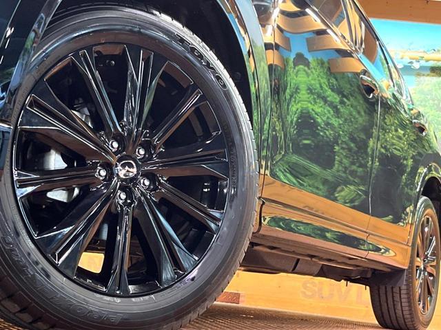 23986761_carP_l_9.jpg