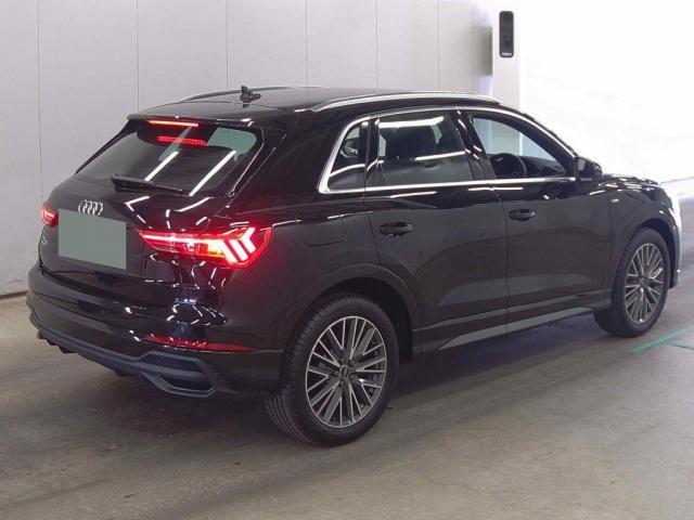 24273998_carP_l_10.jpg